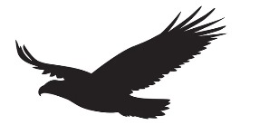 uccello